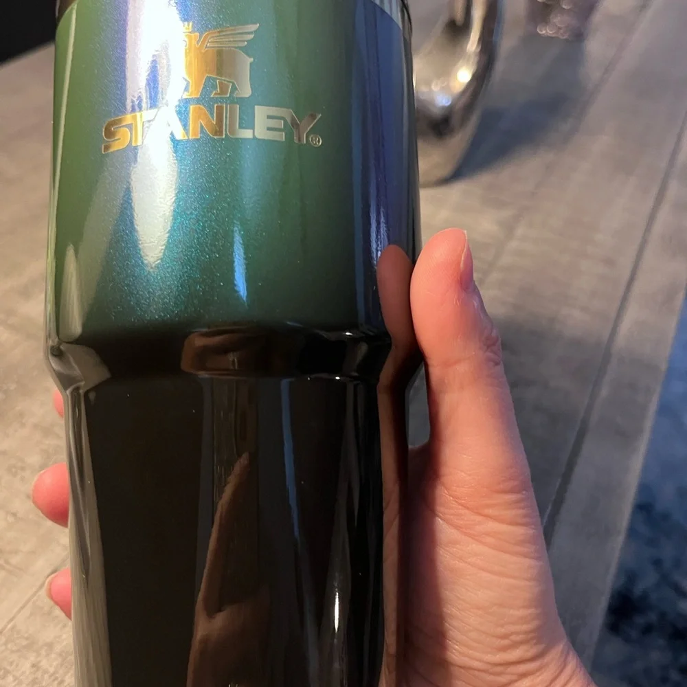 20oz Wicked Elphaba Stanley - Picture 2 of 9